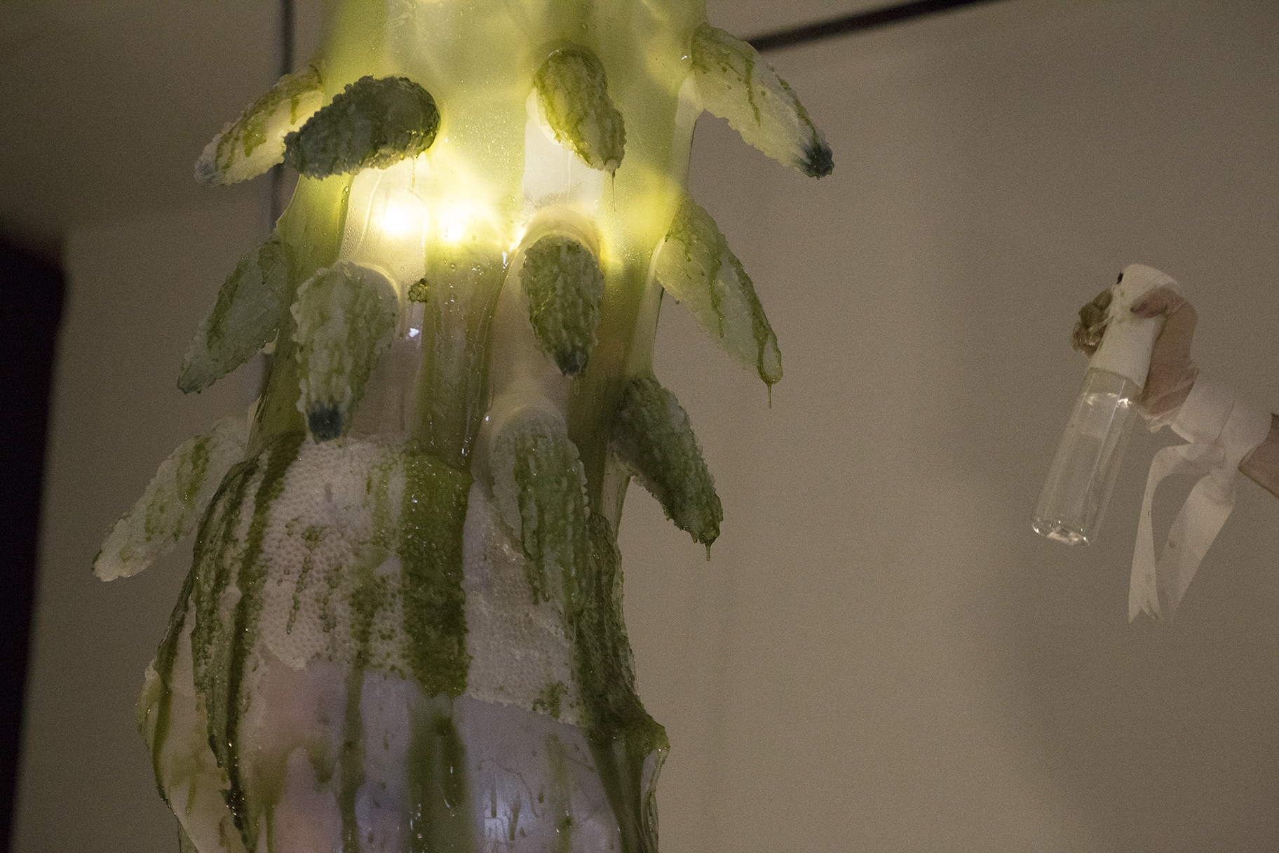 Detail of a gelatenous form covered in green slime with a hand spraying it with water